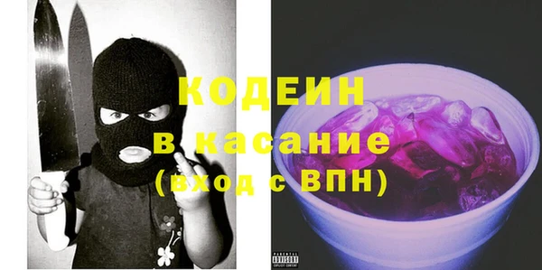 шишки Богородицк