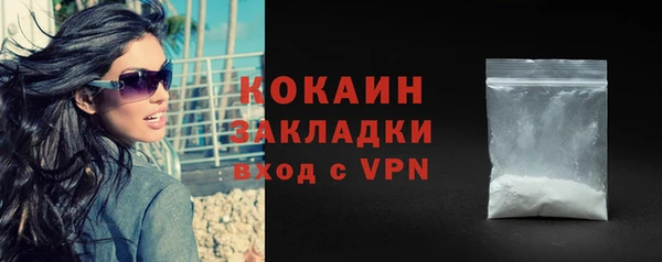 шишки Богородицк