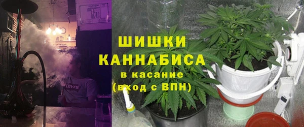 шишки Богородицк
