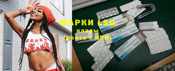 шишки Богородицк