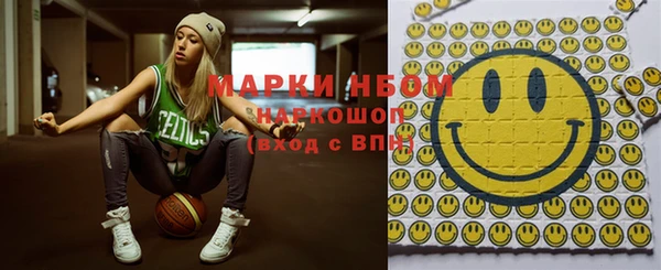 шишки Богородицк