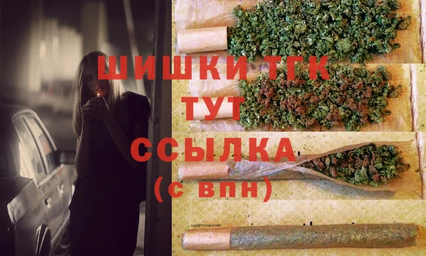 шишки Богородицк