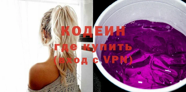 шишки Богородицк